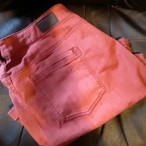Celebrity Pink sz 20 Shorts